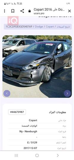 دۆج دارت